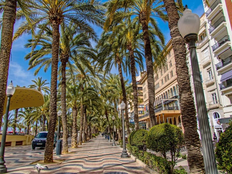 3 bedroom Apartment for rent in Alicante / Alacant city - € 6,500 (Ref: 9456481)