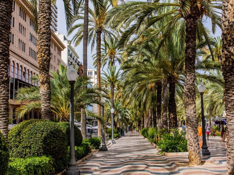 3 bedroom Apartment for sale in Alicante / Alacant city - € 2,700,000 (Ref: 9456482)