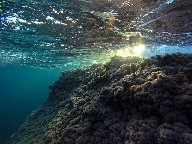 1 Zimmer Wohnung zu vermieten in Altea mit Pool Garage - 1.000 € (Ref: 9755593)