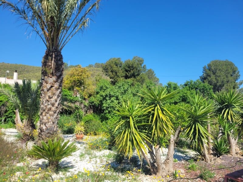 2 sovrum Finca/Hus på landet till salu i Hondon de las Nieves - 199 000 € (Ref: 9797016)