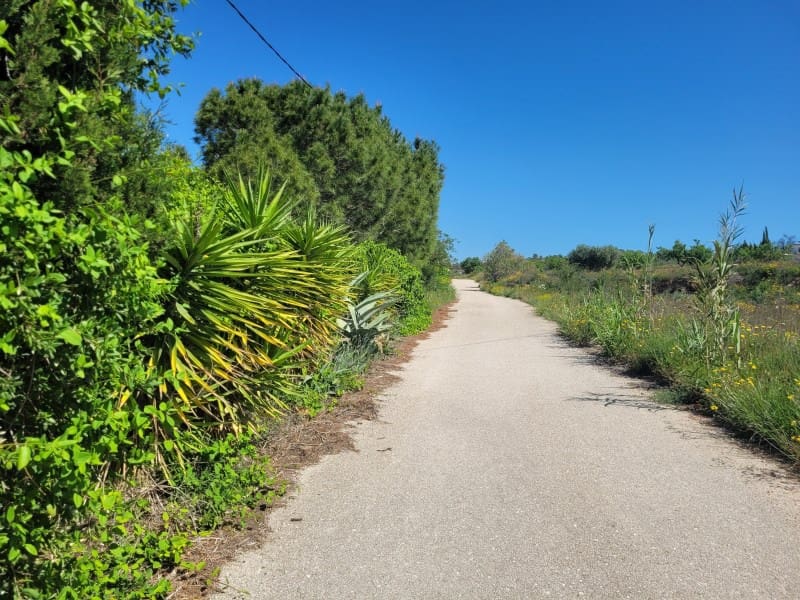 2 sovrum Finca/Hus på landet till salu i Hondon de las Nieves - 199 000 € (Ref: 9797016)