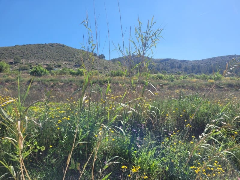 2 sovrum Finca/Hus på landet till salu i Hondon de las Nieves - 199 000 € (Ref: 9797016)