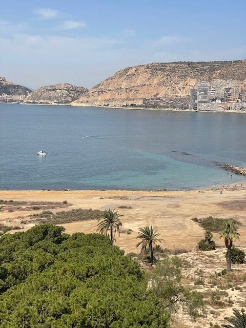 4 bedroom Apartment for sale in Alicante / Alacant city with pool garage - € 635,000 (Ref: 8415050)