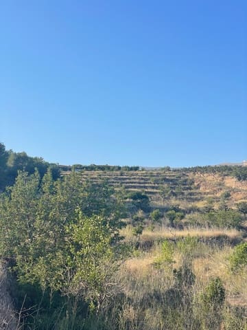 Grond te koop in Callosa d'En Sarrià - € 219.000 (Ref: 9371736)