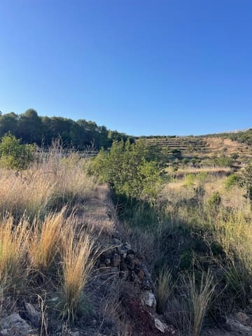 Grond te koop in Callosa d'En Sarrià - € 219.000 (Ref: 9371736)