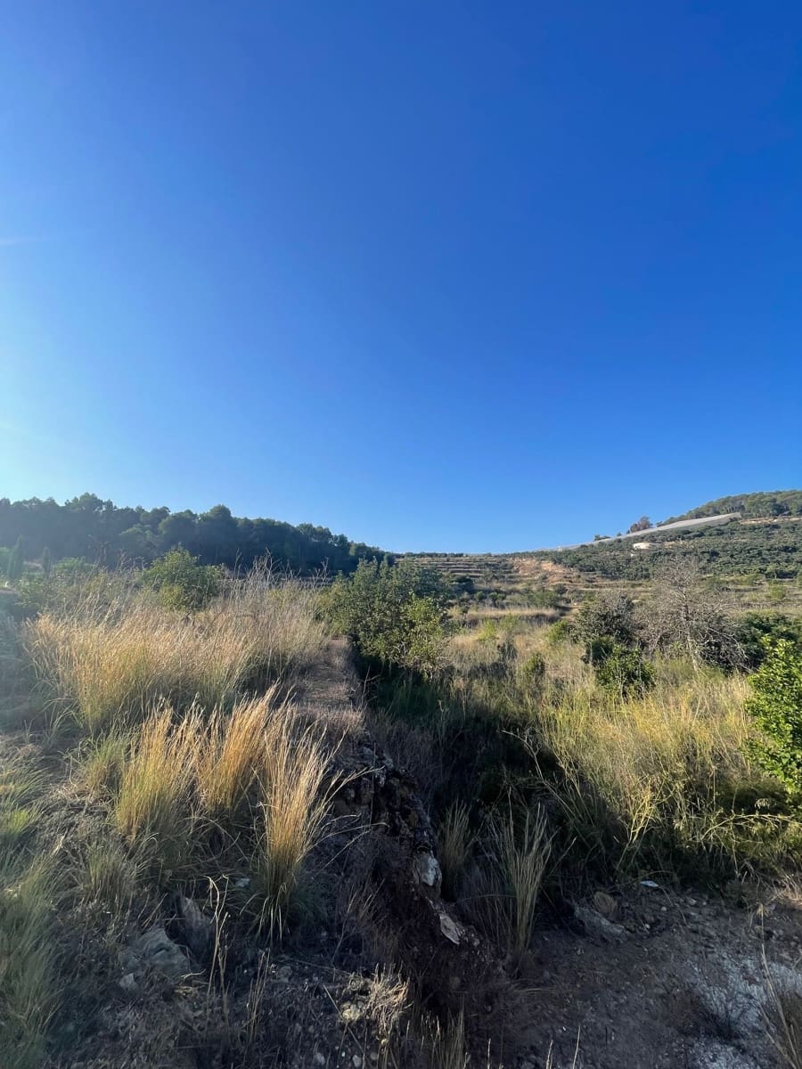 Mark till salu i Callosa d'En Sarria - 235 000 € (Ref: 9371737)