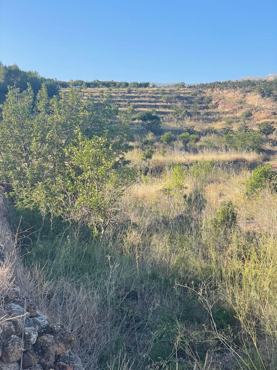 Mark till salu i Callosa d'En Sarria - 235 000 € (Ref: 9371737)