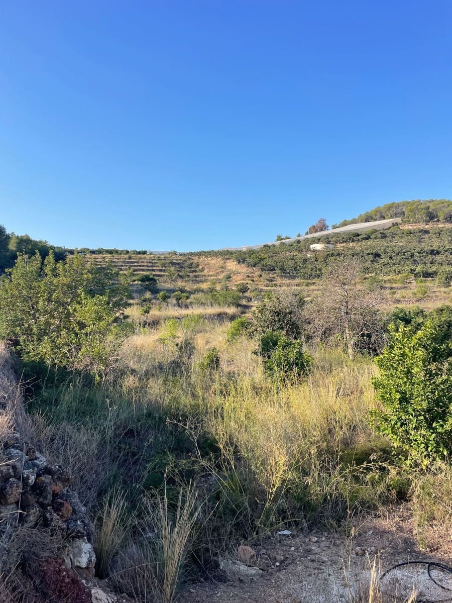 Mark till salu i Callosa d'En Sarria - 235 000 € (Ref: 9371737)