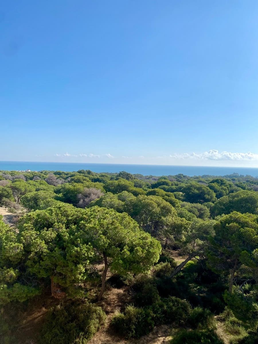 2 sovrum Lägenhet till salu i Guardamar del Segura - 349 000 € (Ref: 9526132)