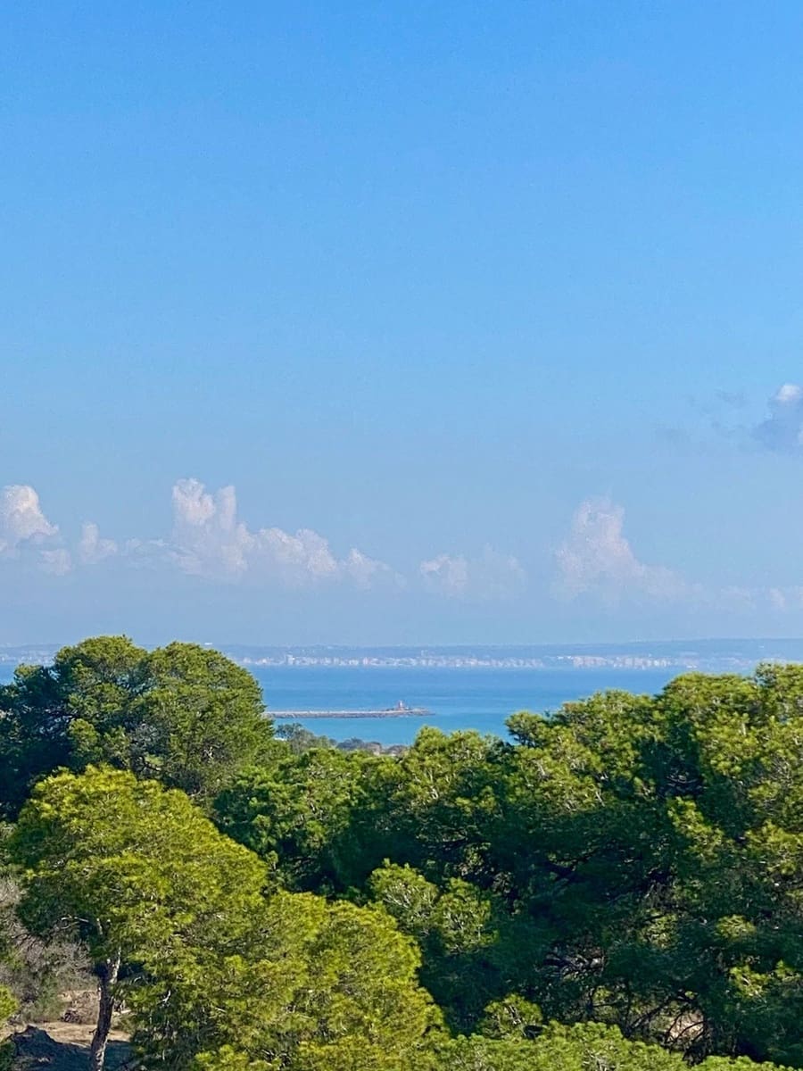 2 sovrum Lägenhet till salu i Guardamar del Segura - 349 000 € (Ref: 9526132)