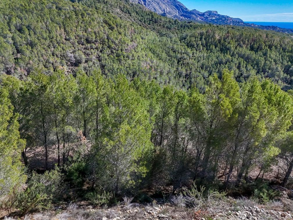 Mark till salu i Altea la Vella - 199 000 € (Ref: 9875664)