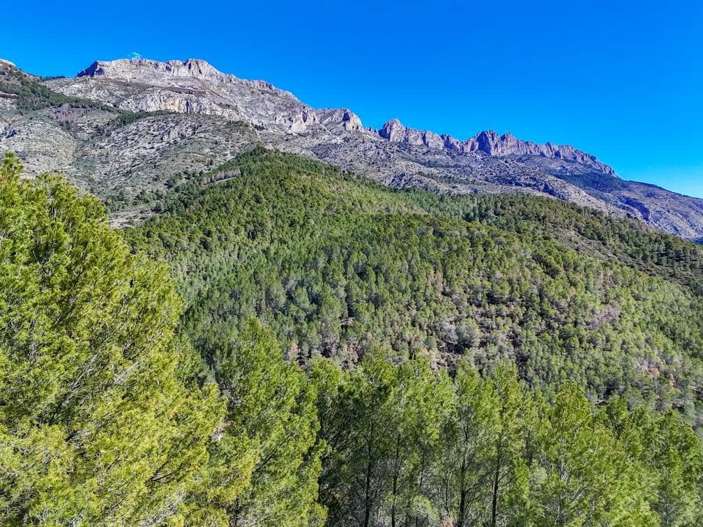 Mark till salu i Altea la Vella - 199 000 € (Ref: 9875664)