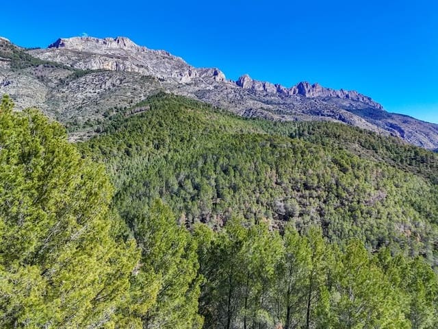 Mark till salu i Altea la Vella, Altea - 199 000 € (Ref: 9875664)