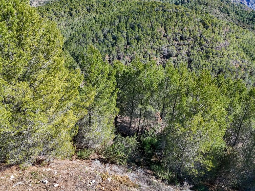 Mark till salu i Altea la Vella - 199 000 € (Ref: 9875664)