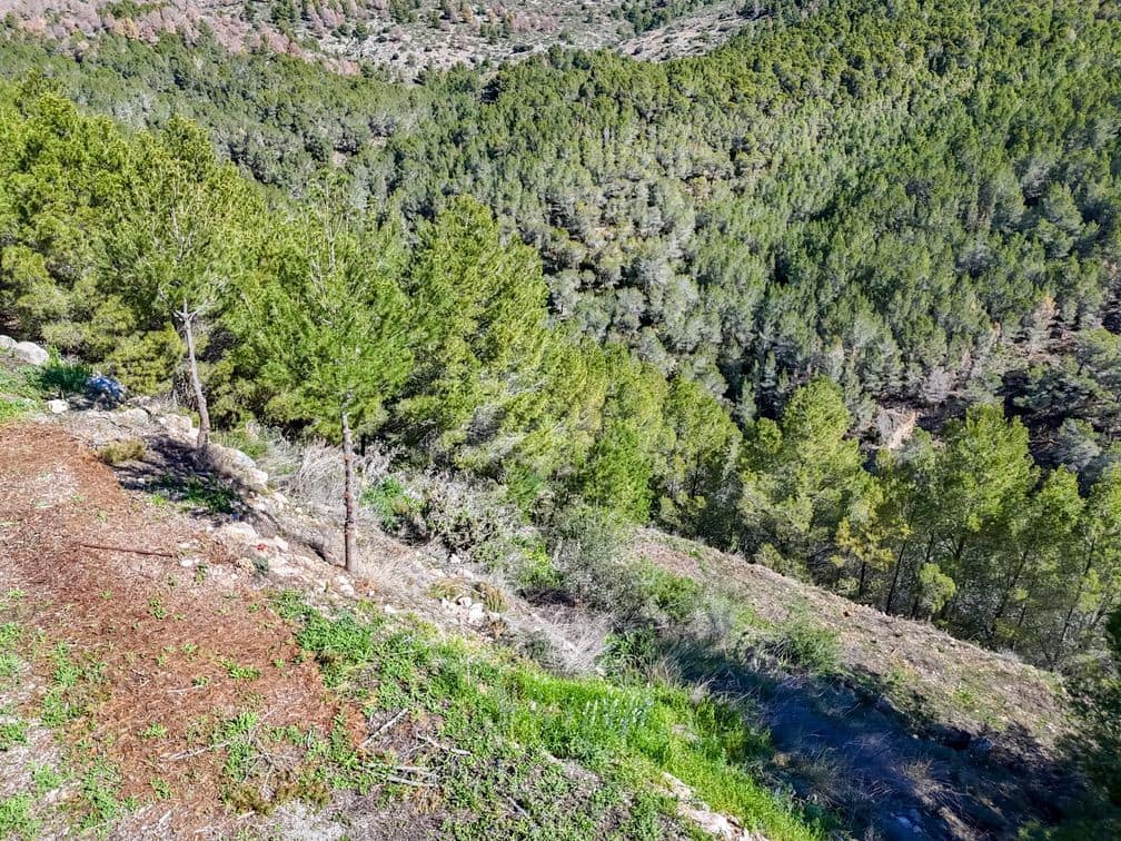 Mark till salu i Altea la Vella - 199 000 € (Ref: 9875665)