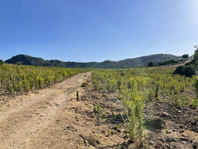 2 bedroom Finca/Country House for sale in Castellar de la Frontera with garage - € 1,800,000 (Ref: 6694856)