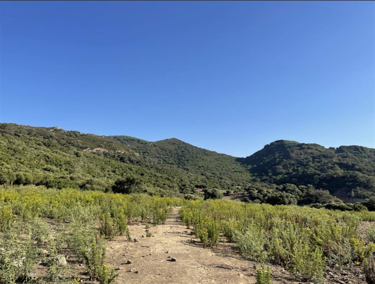 2 chambre Finca/Maison de Campagne à vendre à Castellar de la Frontera avec garage - 1 800 000 € (Ref: 6694856)