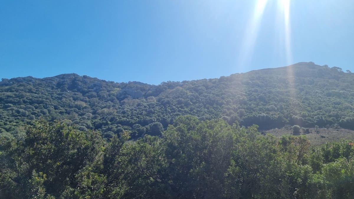 2 chambre Finca/Maison de Campagne à vendre à Castellar de la Frontera avec garage - 1 800 000 € (Ref: 6694856)