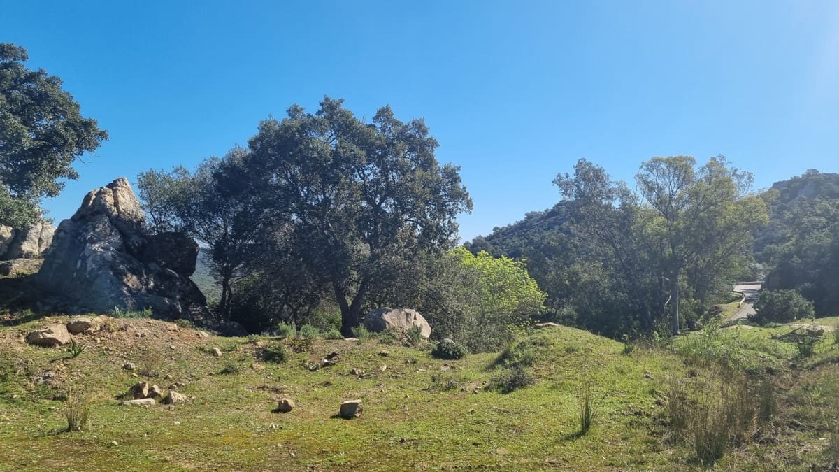 2 chambre Finca/Maison de Campagne à vendre à Castellar de la Frontera avec garage - 1 800 000 € (Ref: 6694856)