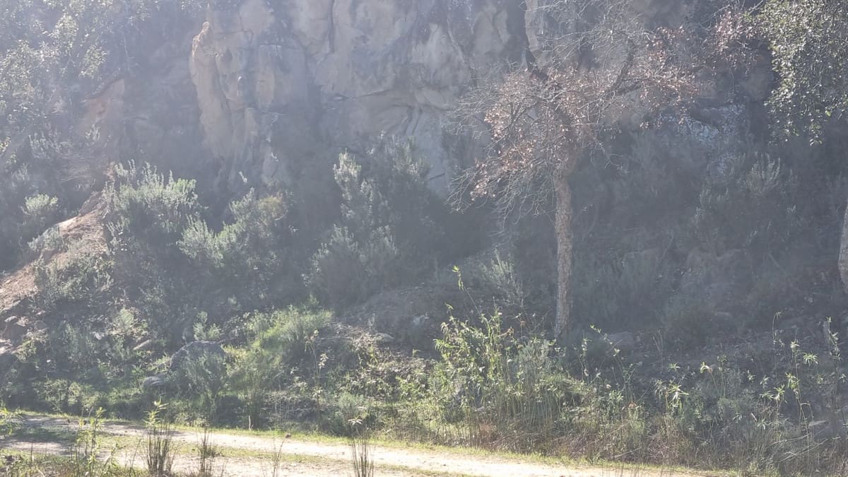 2 chambre Finca/Maison de Campagne à vendre à Castellar de la Frontera avec garage - 1 800 000 € (Ref: 6694856)