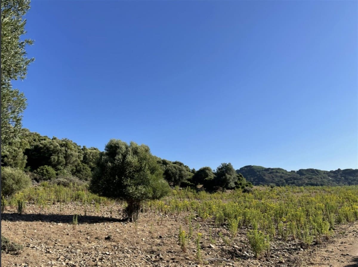 2 chambre Finca/Maison de Campagne à vendre à Castellar de la Frontera avec garage - 1 800 000 € (Ref: 6694856)