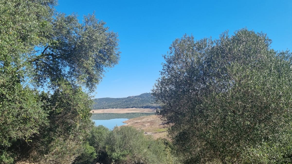 2 chambre Finca/Maison de Campagne à vendre à Castellar de la Frontera avec garage - 1 800 000 € (Ref: 6694856)