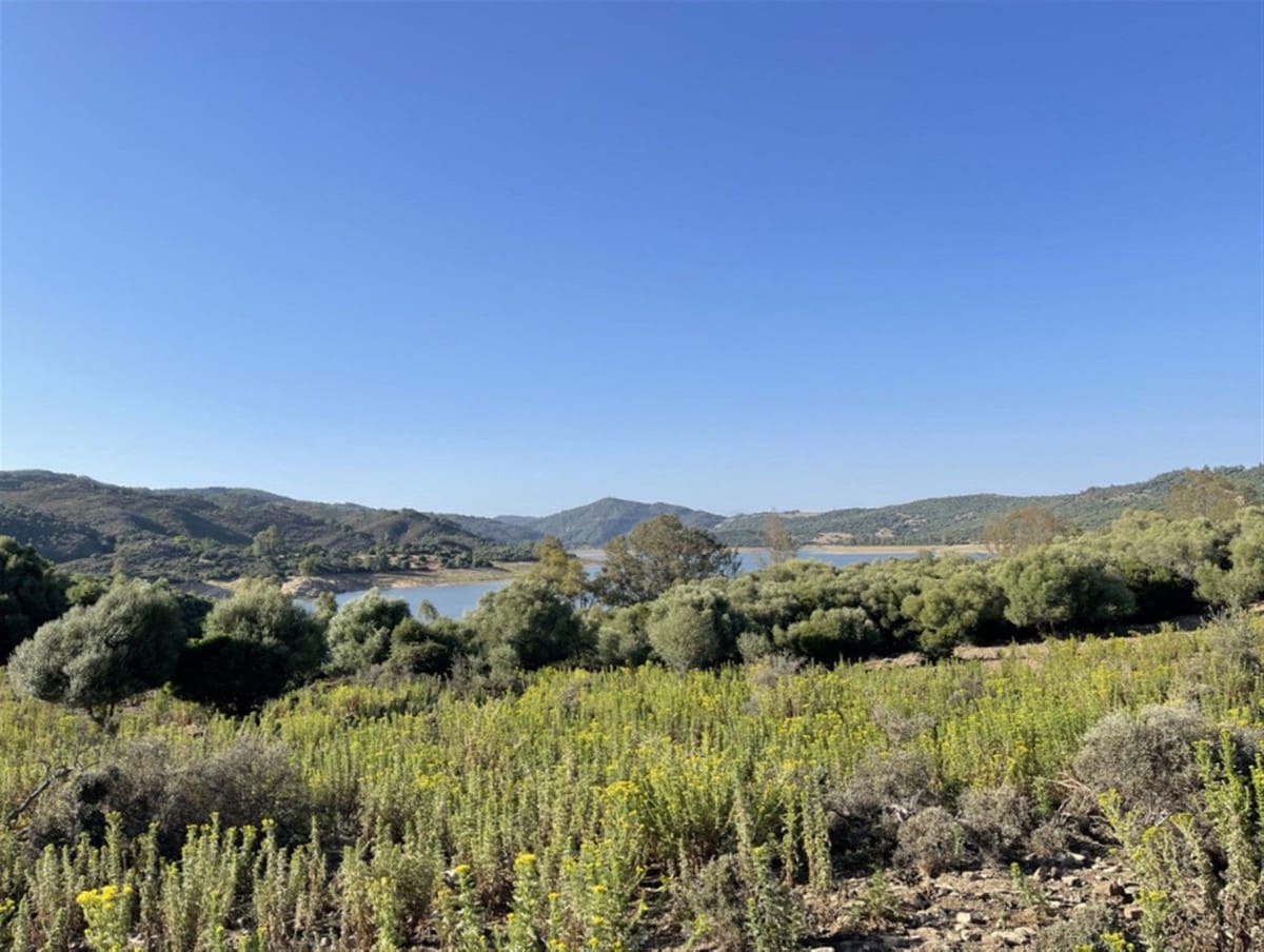 Finca/Casa Rural de 2 habitaciones en Castellar de la Frontera en venta con garaje - 1.800.000 € (Ref: 6694856)