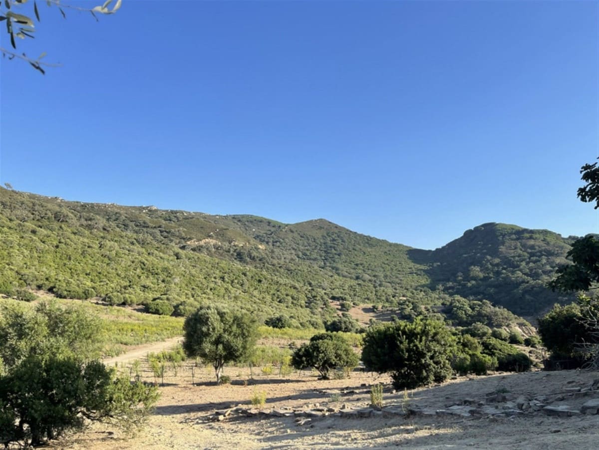 Finca/Casa Rural de 2 habitaciones en Castellar de la Frontera en venta con garaje - 1.800.000 € (Ref: 6694856)