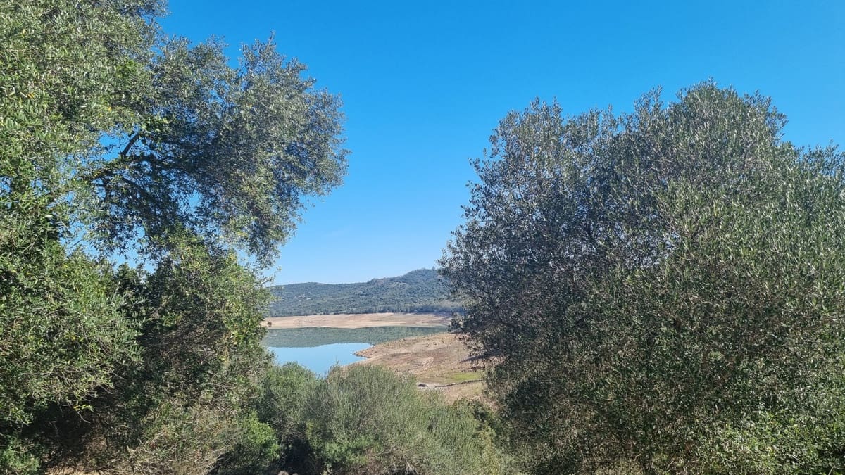 Finca/Casa Rural de 2 habitaciones en Castellar de la Frontera en venta con garaje - 1.800.000 € (Ref: 6694856)