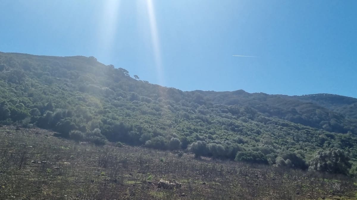 Finca/Casa Rural de 2 habitaciones en Castellar de la Frontera en venta con garaje - 1.800.000 € (Ref: 6694856)