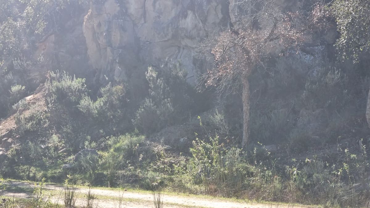 Finca/Casa Rural de 2 habitaciones en Castellar de la Frontera en venta con garaje - 1.800.000 € (Ref: 6694856)