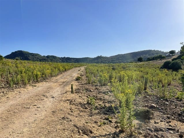 2 makuuhuone Maalaistalo myytävänä paikassa Castellar de la Frontera mukana 
autotalli - 1 800 000 € (Ref: 6694856)