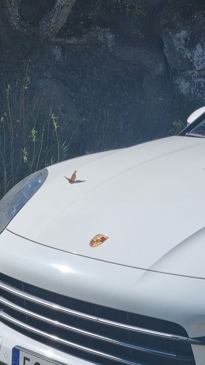 2 bedroom Finca/Country House for sale in Castellar de la Frontera with garage - € 1,800,000 (Ref: 6694856)