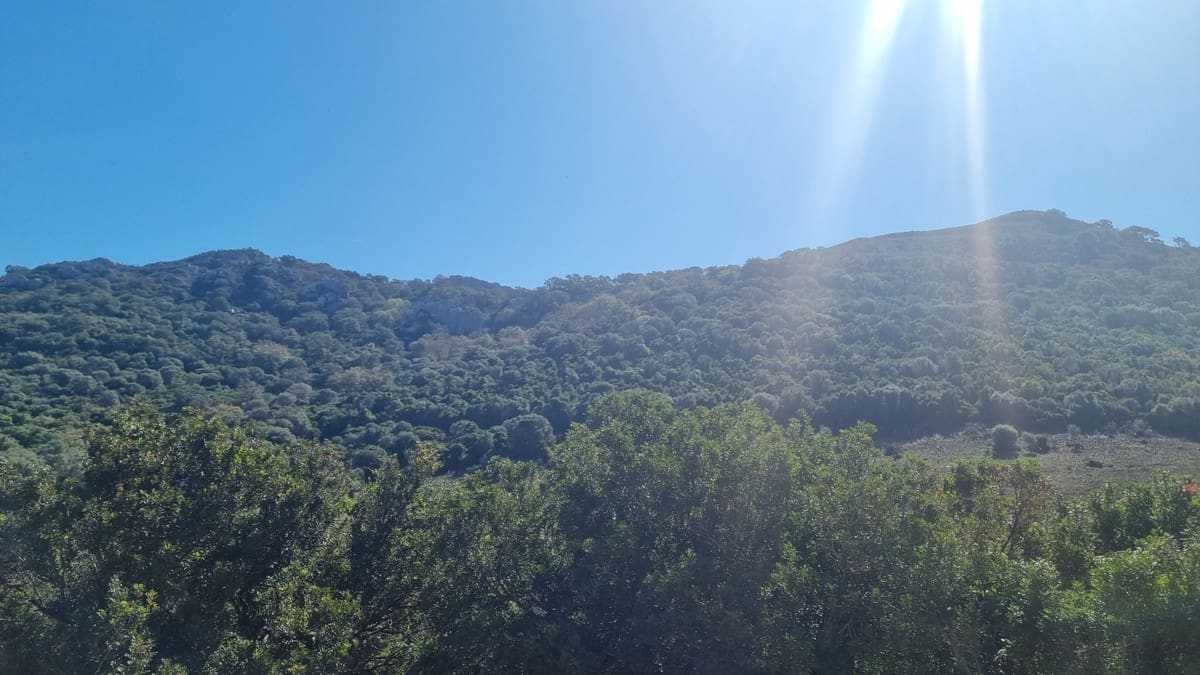 2 bedroom Finca/Country House for sale in Castellar de la Frontera with garage - € 1,800,000 (Ref: 6694856)