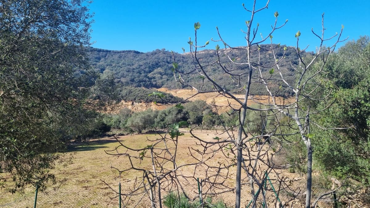 2 bedroom Finca/Country House for sale in Castellar de la Frontera with garage - € 1,800,000 (Ref: 6694856)