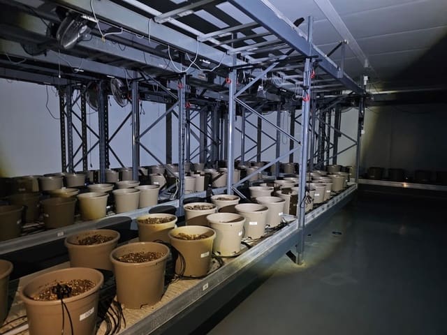 6 slaapkamer Commercieel te koop in Casares met zwembad garage - € 3.200.000 (Ref: 9107966)