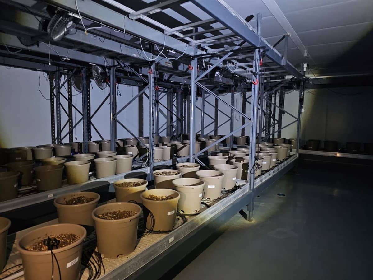 6 soverom Kommersiell til salgs i Casares med svømmebasseng garasje - € 3 200 000 (Ref: 9107966)