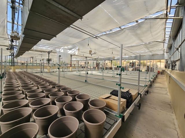 6 slaapkamer Commercieel te koop in Casares met zwembad garage - € 3.200.000 (Ref: 9107966)