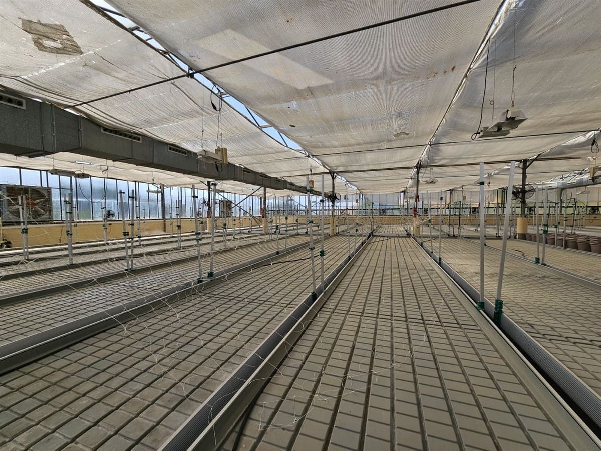 6 chambre Local Commercial à vendre à Casares avec piscine garage - 3 200 000 € (Ref: 9107966)