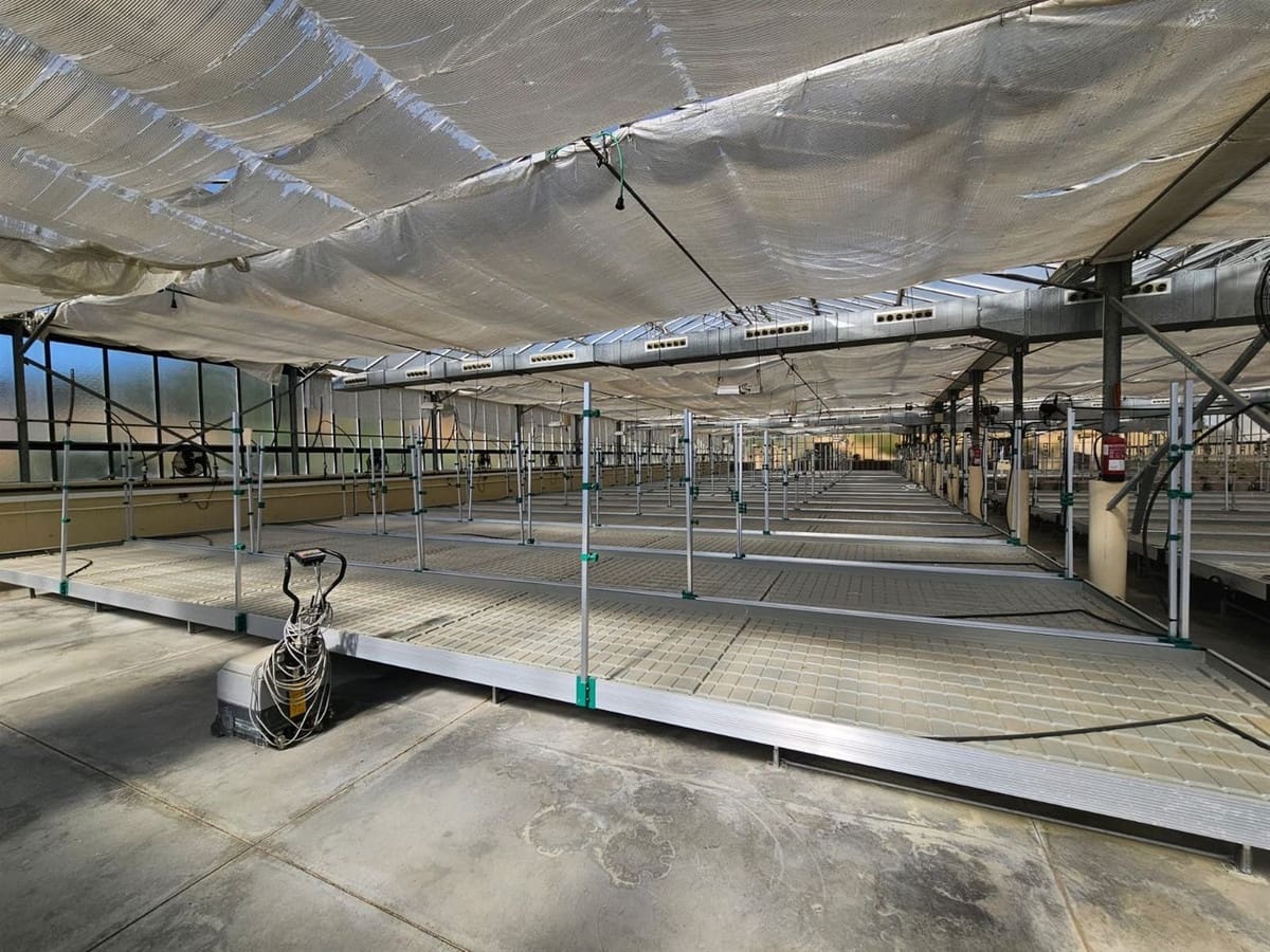 6 chambre Local Commercial à vendre à Casares avec piscine garage - 3 200 000 € (Ref: 9107966)