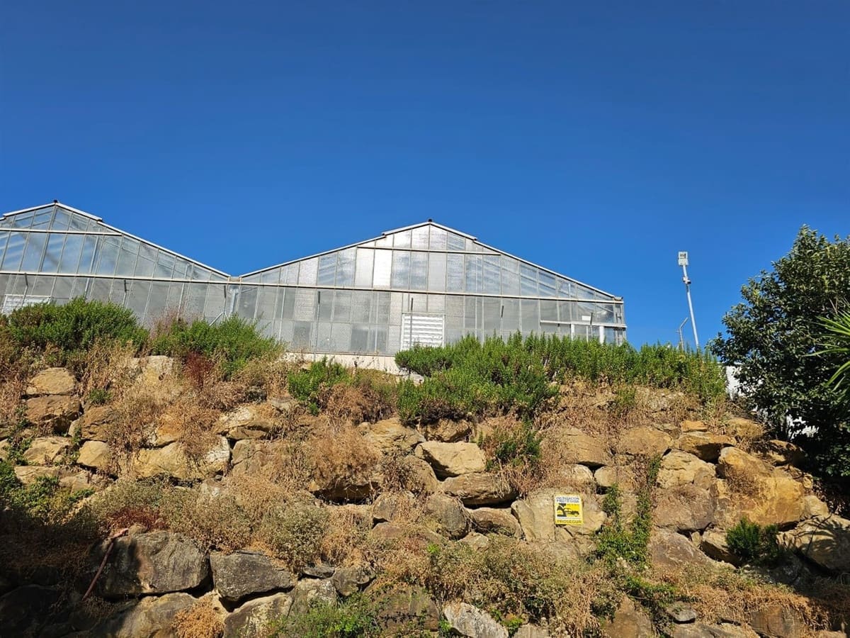 6 chambre Local Commercial à vendre à Casares avec piscine garage - 3 200 000 € (Ref: 9107966)