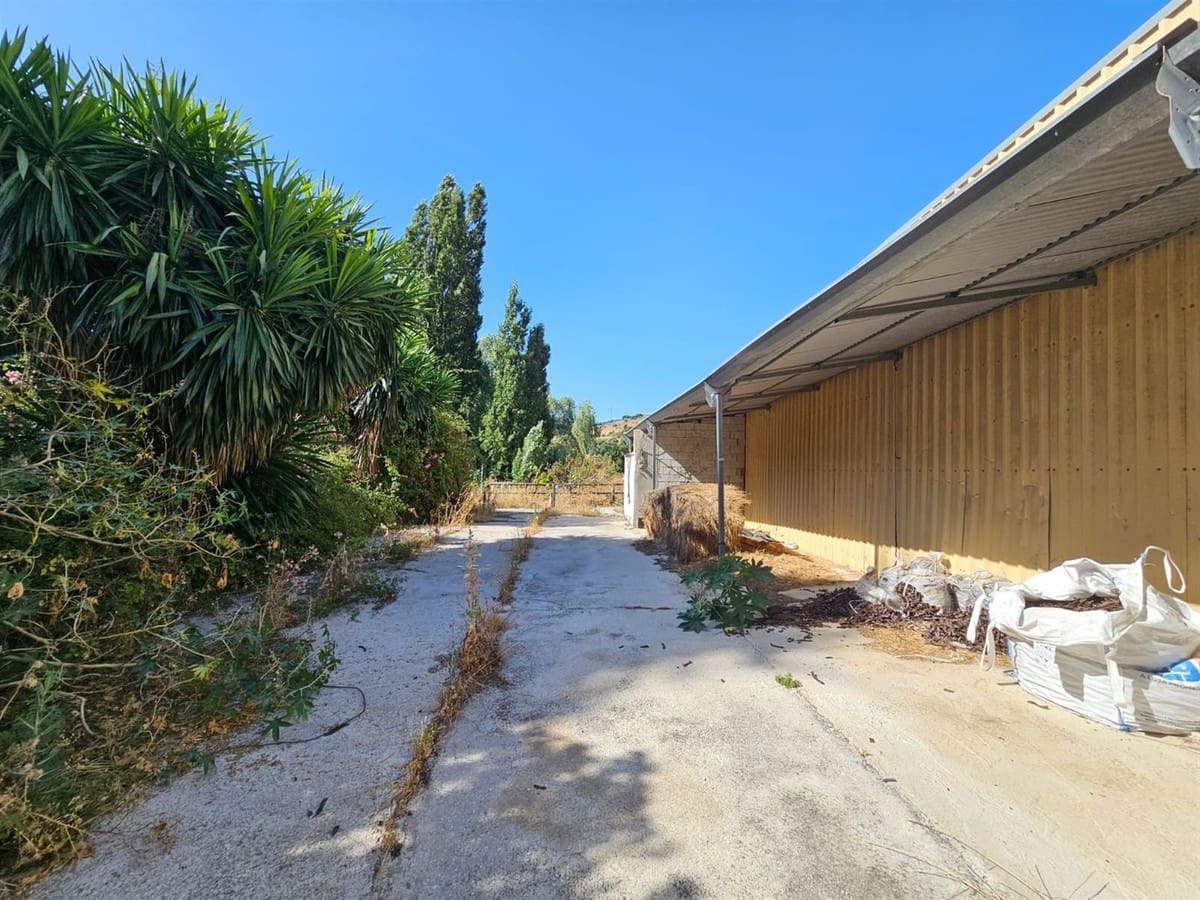 6 chambre Local Commercial à vendre à Casares avec piscine garage - 3 200 000 € (Ref: 9107966)