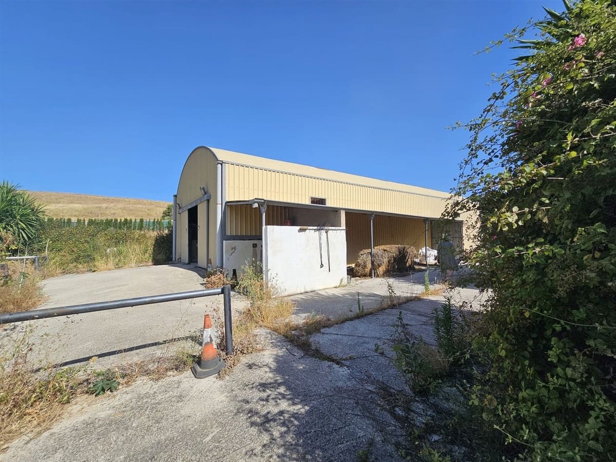 6 chambre Local Commercial à vendre à Casares avec piscine garage - 3 200 000 € (Ref: 9107966)