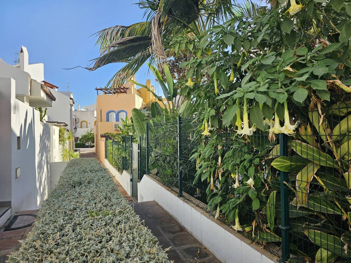 5 chambre Maison de Ville à vendre à Nueva Andalucia avec piscine - 690 000 € (Ref: 9297415)