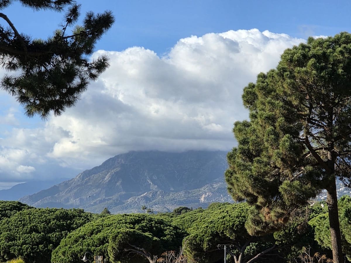 2 chambre Appartement à vendre à Elviria avec piscine garage - 539 000 € (Ref: 9452925)