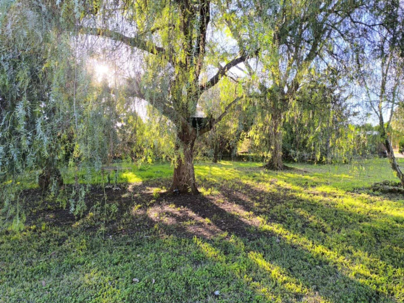 5 makuuhuone Huvila myytävänä paikassa Ondara mukana uima-altaan - 1 400 000 € (Ref: 9161565)