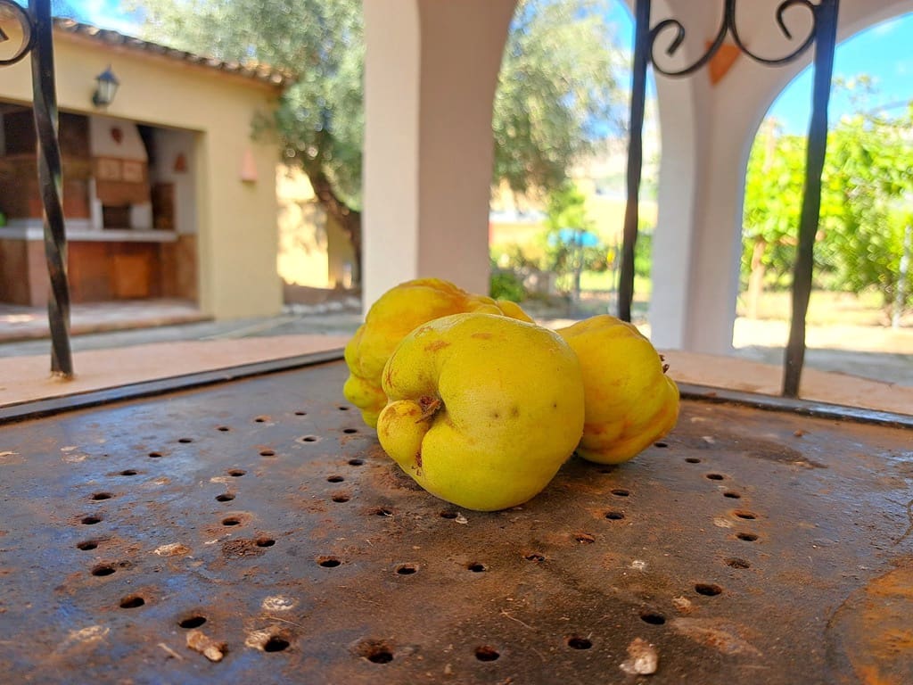 6 soveværelse Villa til salg i Orba med swimmingpool garage - € 750.000 (Ref: 9282810)