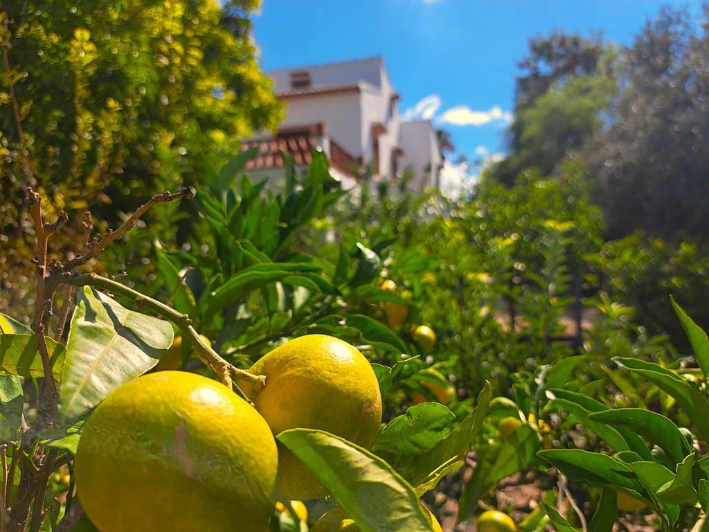 6 soveværelse Villa til salg i Orba med swimmingpool garage - € 750.000 (Ref: 9282810)