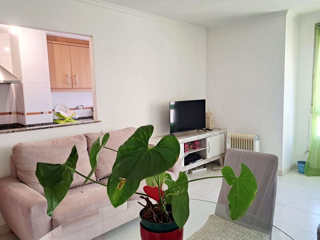 2 bedroom Apartment for rent in Denia - € 850 (Ref: 9713475)