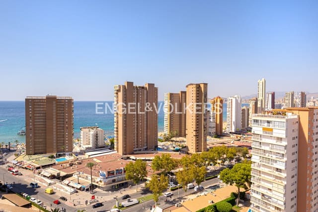 2 soveværelse Lejlighed til leje i Juzgados - Plaza de Toros, Benidorm med swimmingpool garage - € 1.000 (Ref: 10091505)